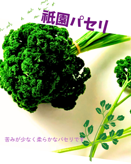 製品画像